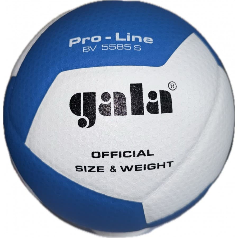 Волейбольний м'яч Gala Pro Line BV5585S
