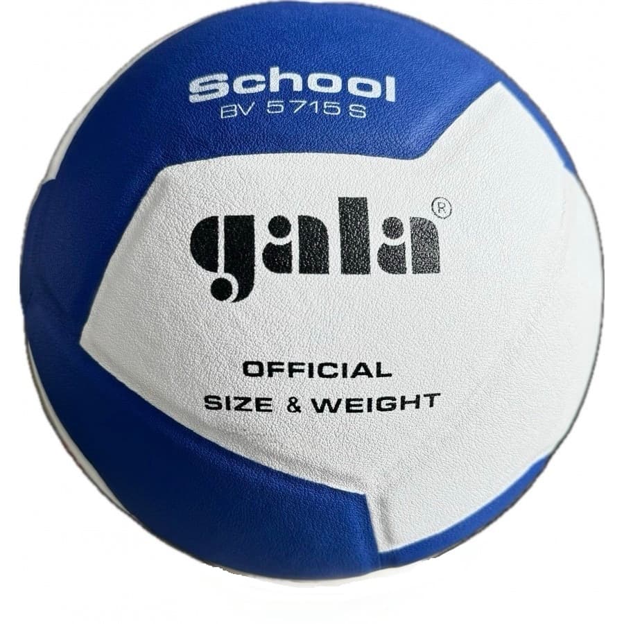 Волейбольний м'яч Gala School BV 5715 s