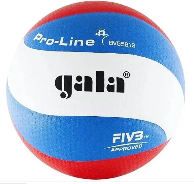 М'яч волейбольний Gala Pro-Line BV 5591 S
